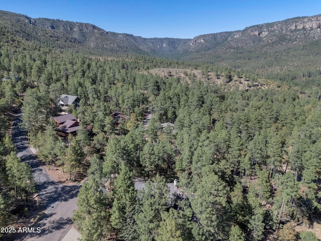5130 Juniper Loop, Pine, AZ 85544 - view of mountain backdrop with a heavily wooded area