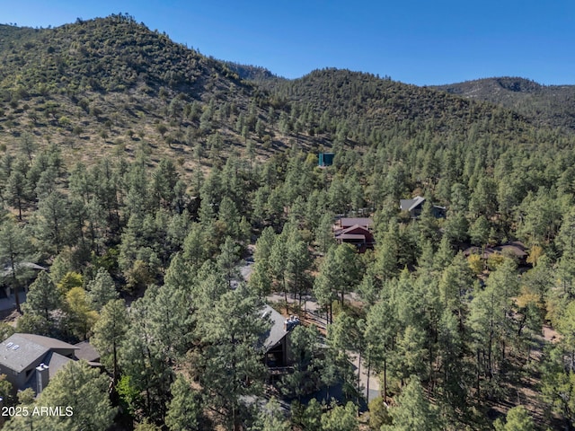 5130 Juniper Loop, Pine, AZ 85544 - view of mountain background featuring a forest