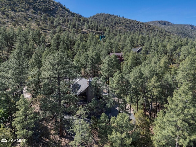 5130 Juniper Loop, Pine, AZ 85544 - mountain view featuring a heavily wooded area