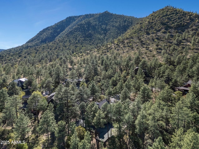 5130 Juniper Loop, Pine, AZ 85544 - view of mountain backdrop featuring a forest