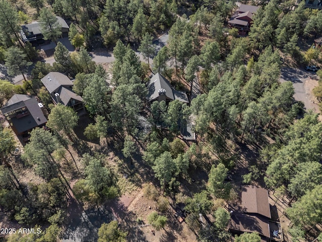5130 Juniper Loop, Pine, AZ 85544 - aerial overview of property's location
