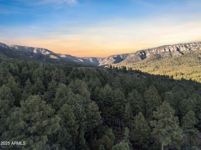 5130 Juniper Loop, Pine, AZ 85544 - view of mountain backdrop with a heavily wooded area