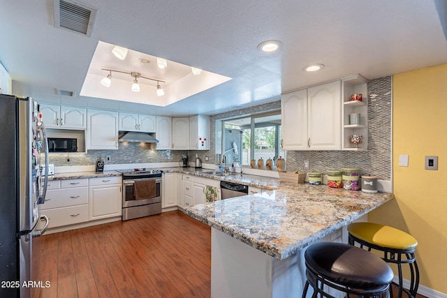 3408 W Carol Ave, Phoenix, AZ 85051 - kitchen featuring visible vents, a peninsula, a raised ceiling, under cabinet range hood, and appliances with stainless steel finishes