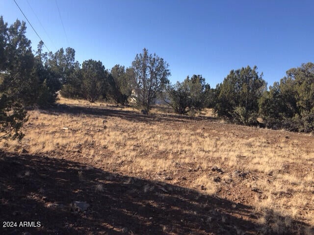 8358 Silver Creek Dr, Show Low, AZ 85901 - view of local wilderness