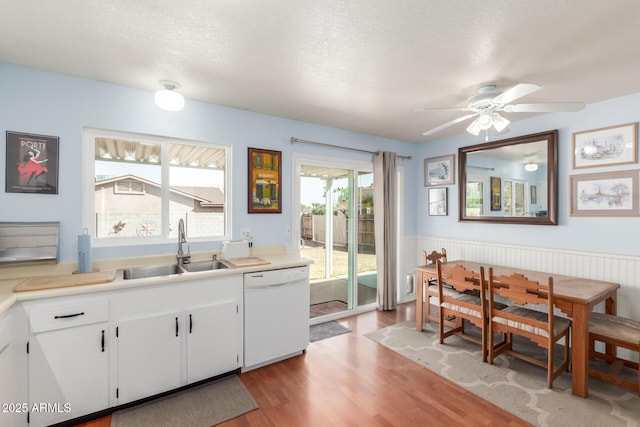 kitchen with light wood-type flooring, wainscoting, dishwasher, and a sink