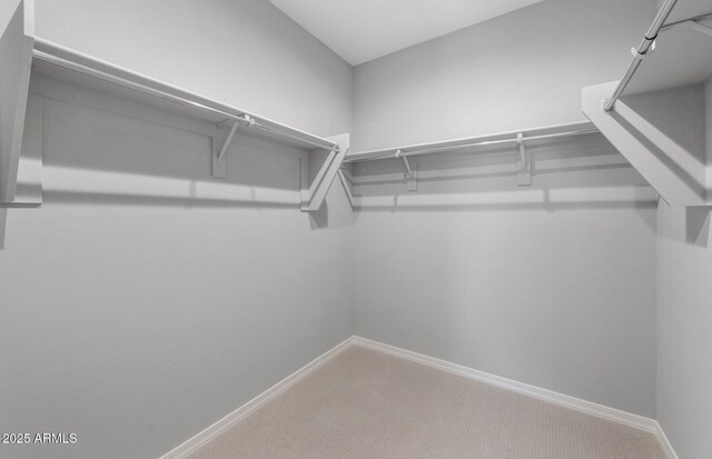 17809 W Getty Dr, Goodyear, AZ 85338 - spacious closet featuring carpet