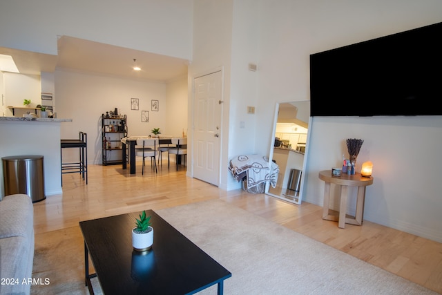 living room with a towering ceiling and light hardwood / wood-style floors