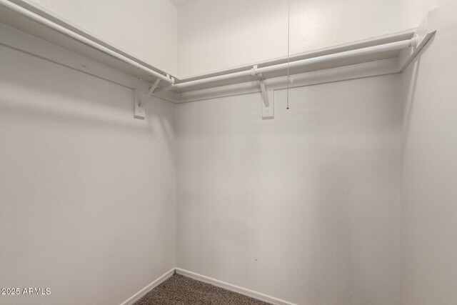 walk in closet with carpet flooring