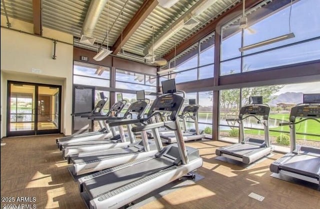 2597 E Hickory St, Gilbert, AZ 85298 - gym featuring a towering ceiling, carpet flooring, and expansive windows