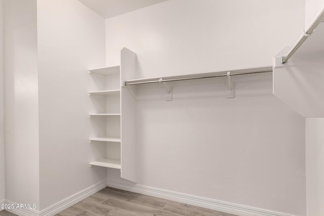 spacious closet with light wood-style flooring