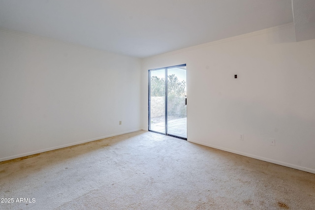 spare room featuring light carpet and crown molding