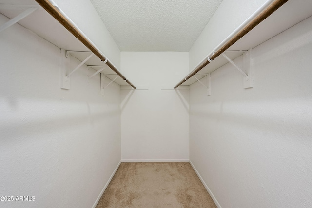 walk in closet featuring light colored carpet