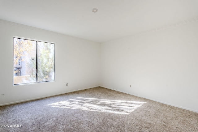 carpeted empty room featuring crown molding