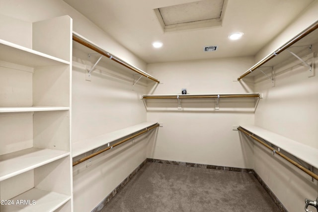 spacious closet with carpet flooring