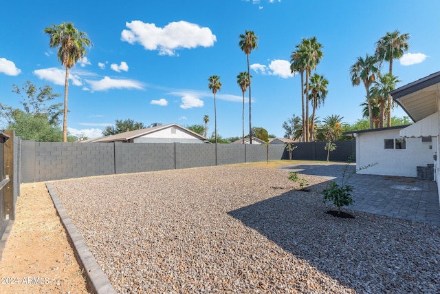 view of yard featuring a patio