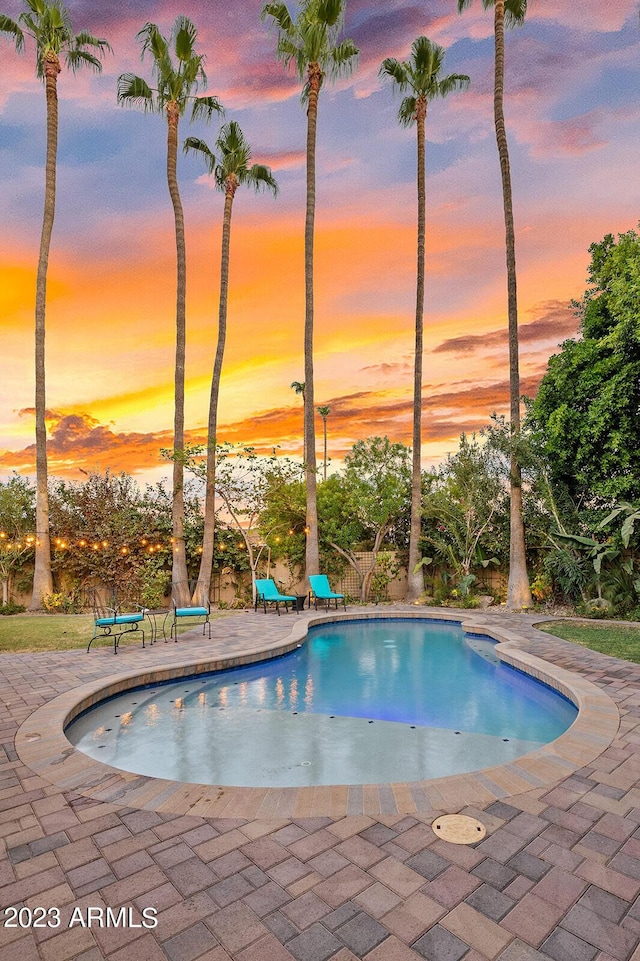 11822 S Coconino St, Phoenix, AZ 85044 - swimming pool with a patio