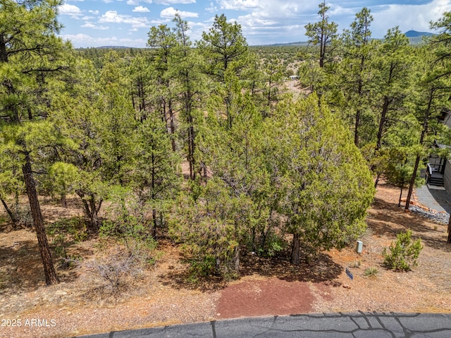 1280 E Pine Oaks Dr Unit 10, Show Low, AZ 85901
