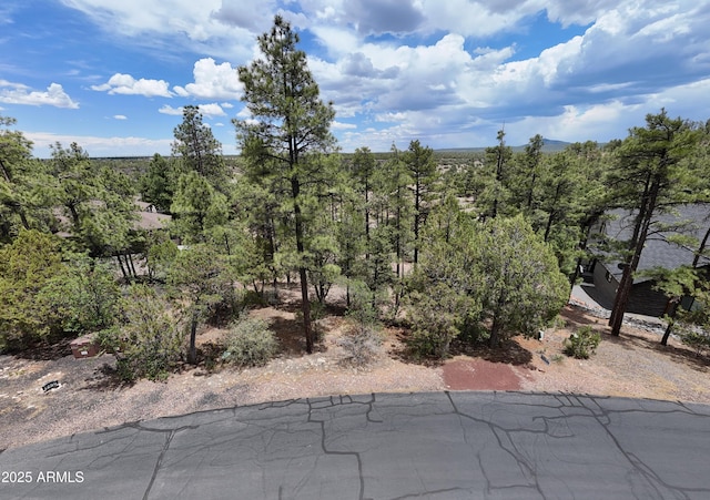 1280 E Pine Oaks Dr Unit 10, Show Low, AZ 85901