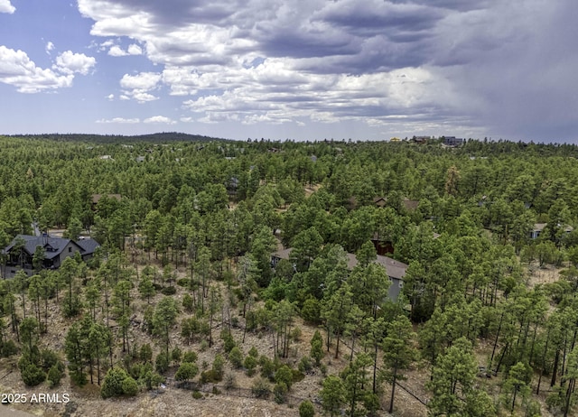 1280 E Pine Oaks Dr Unit 10, Show Low, AZ 85901