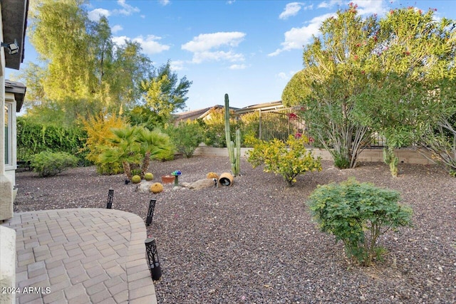 view of yard with a patio