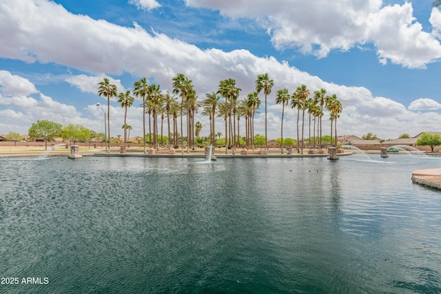44574 W High Desert Trl, Maricopa, AZ 85139 - water view