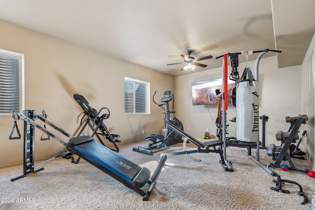 exercise room with ceiling fan and carpet flooring