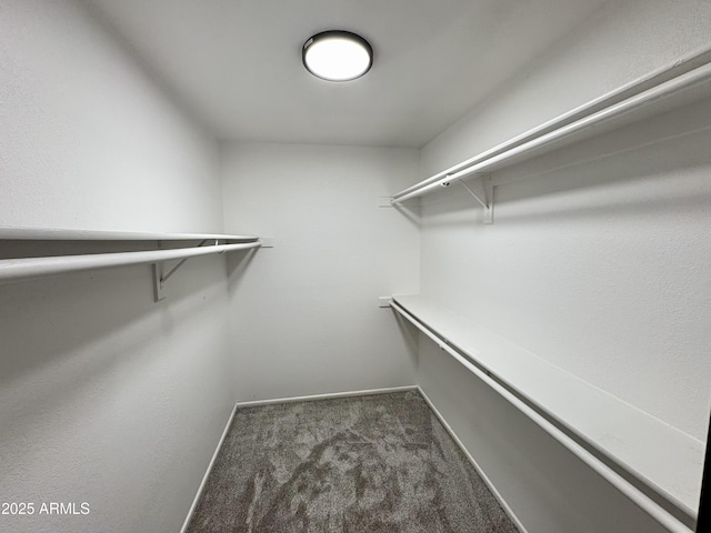 6419 W Monte Cristo Ave, Glendale, AZ 85306 - spacious closet with carpet