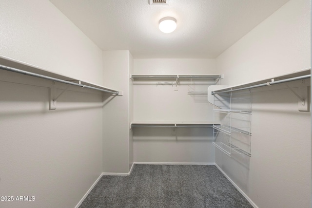 spacious closet featuring visible vents and carpet