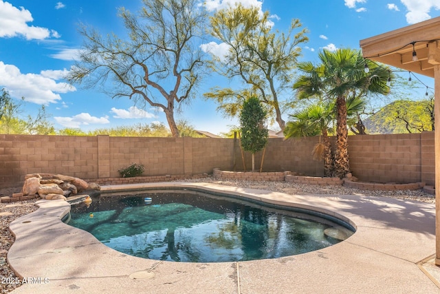 view of pool with a patio area and a fenced backyard