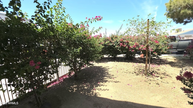 417 N 38th Ave, Phoenix, AZ 85009 - view of yard