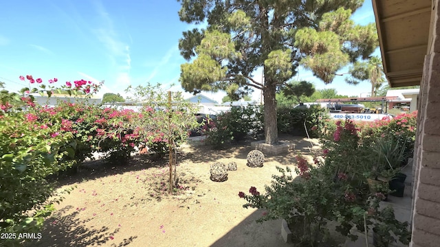 417 N 38th Ave, Phoenix, AZ 85009 - view of yard