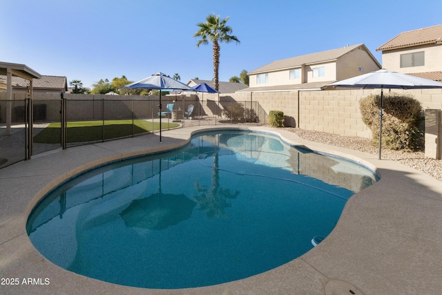 view of swimming pool