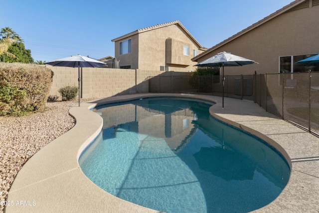 view of pool with a patio area