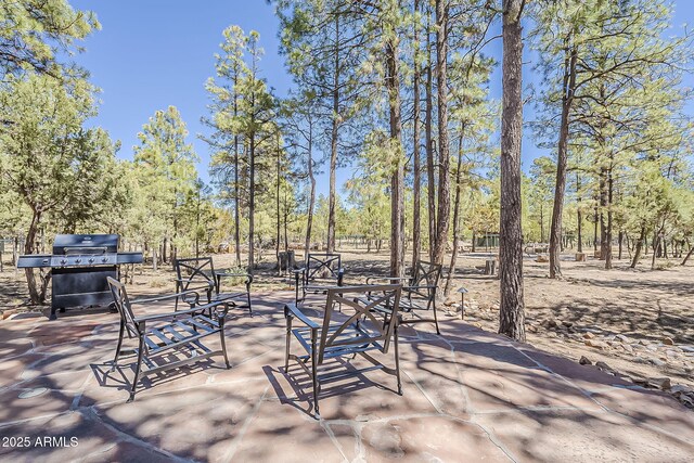 2793 Canyon Ridge Rd, Overgaard, AZ 85933 - view of patio