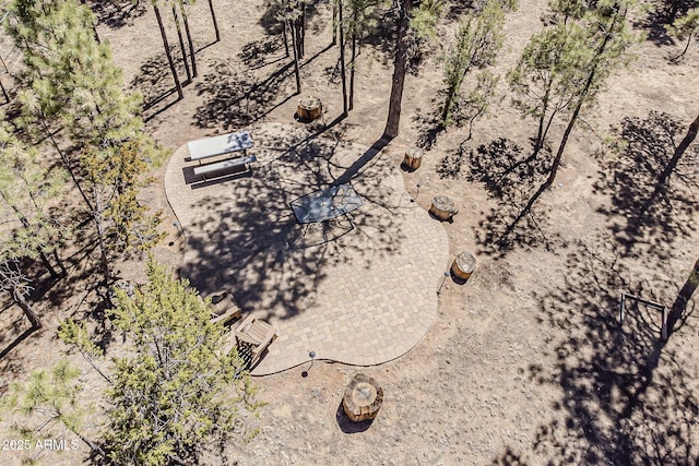 2793 Canyon Ridge Rd, Overgaard, AZ 85933 - aerial view