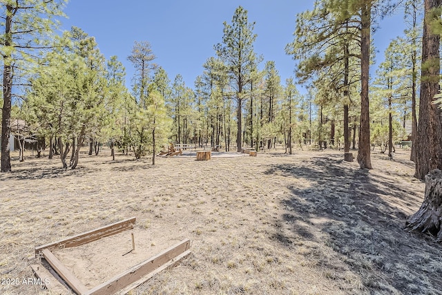 2793 Canyon Ridge Rd, Overgaard, AZ 85933 - view of yard