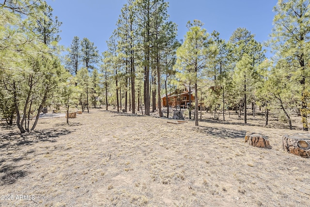 2793 Canyon Ridge Rd, Overgaard, AZ 85933 - view of yard