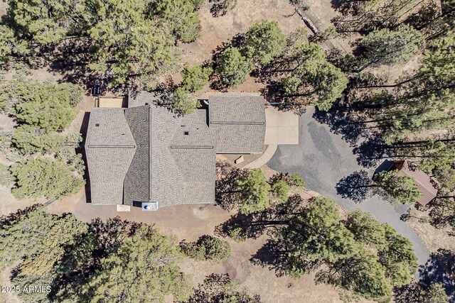 2793 Canyon Ridge Rd, Overgaard, AZ 85933 - birds eye view of property