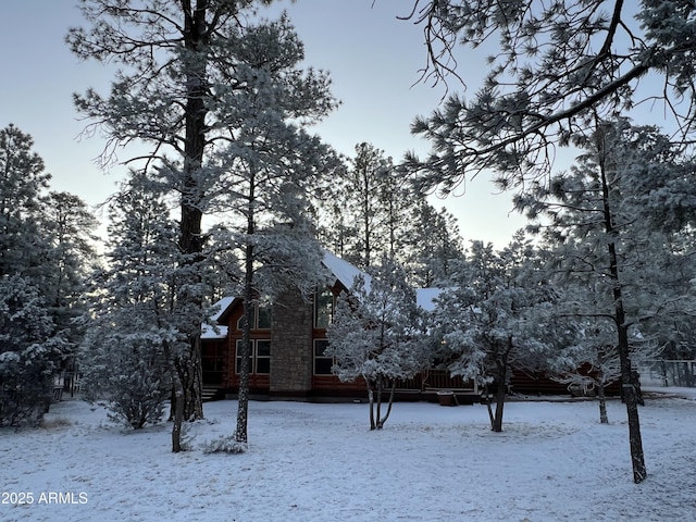 2793 Canyon Ridge Rd, Overgaard, AZ 85933 - exterior space