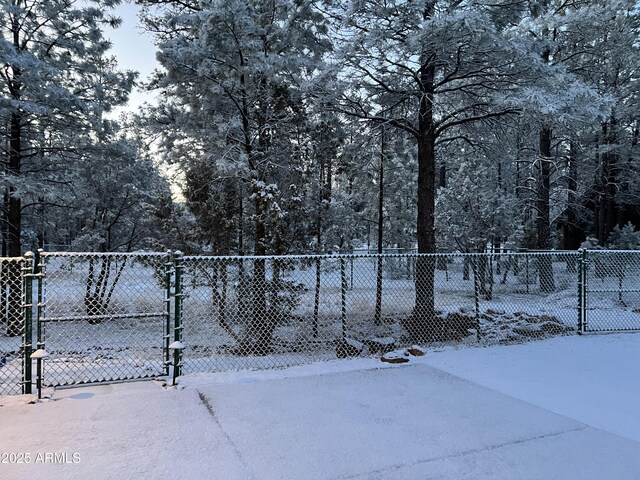 2793 Canyon Ridge Rd, Overgaard, AZ 85933 - yard covered in snow with a gate and fence