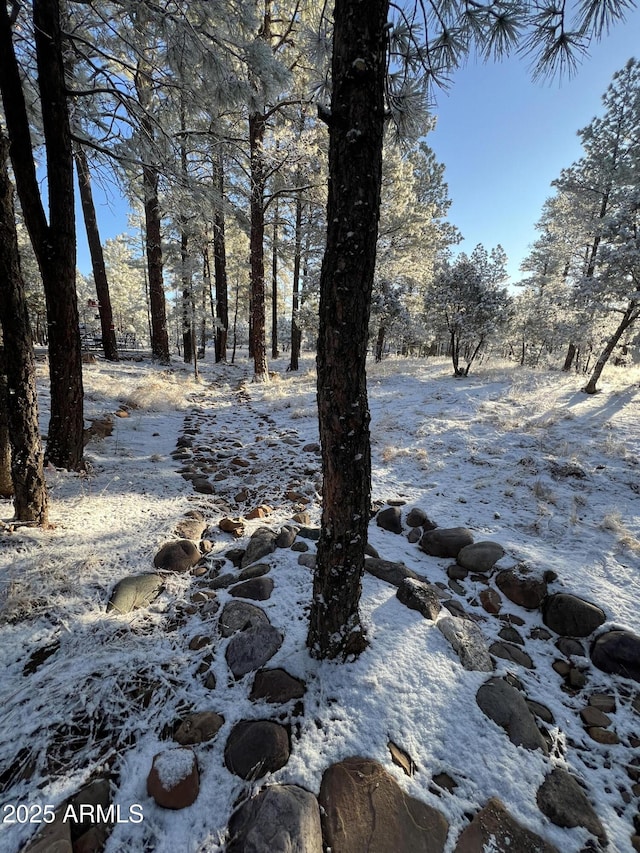 2793 Canyon Ridge Rd, Overgaard, AZ 85933 - view of yard layered in snow