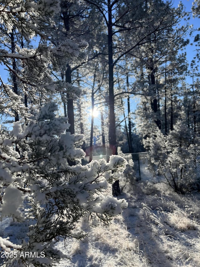 2793 Canyon Ridge Rd, Overgaard, AZ 85933 - view of snow covered land