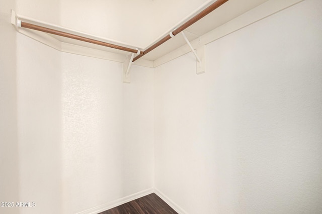 walk in closet with dark wood-style flooring