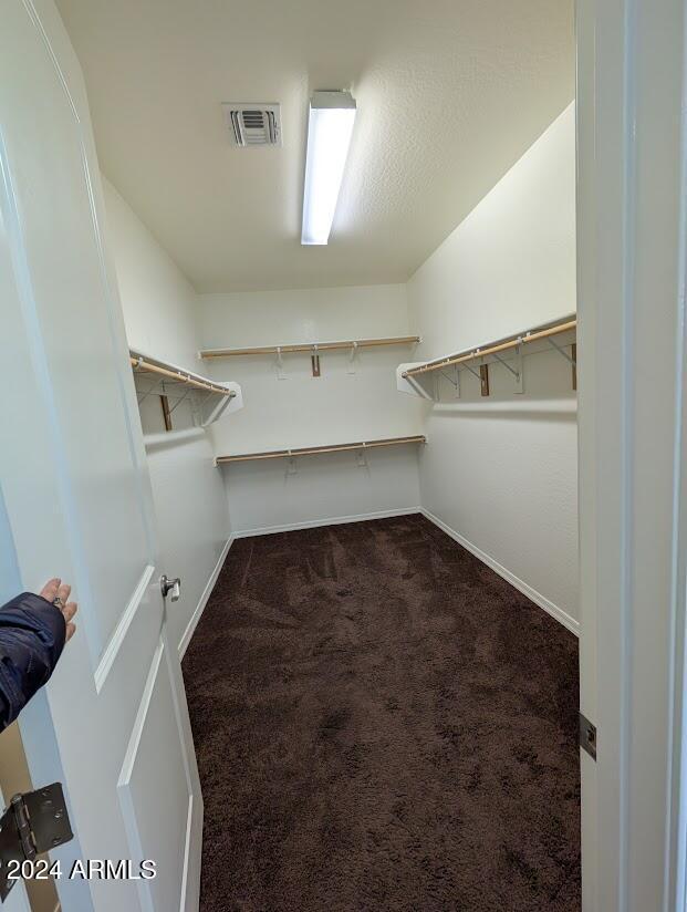 walk in closet featuring dark colored carpet