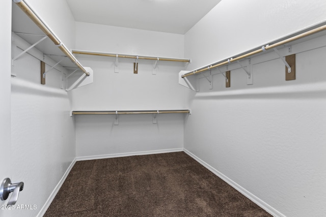 walk in closet with carpet floors