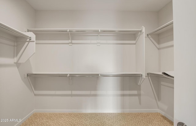 walk in closet with light carpet