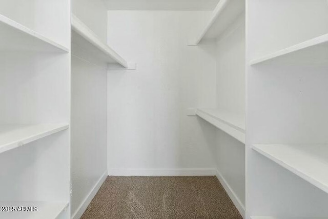 walk in closet featuring carpet flooring