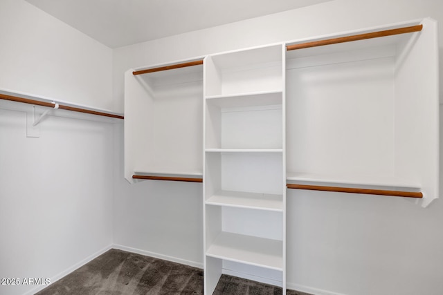 5153 W Topeka Dr, Glendale, AZ 85308 - walk in closet with carpet flooring