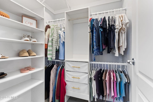 view of spacious closet