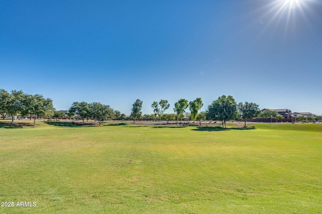 view of home's community with a yard